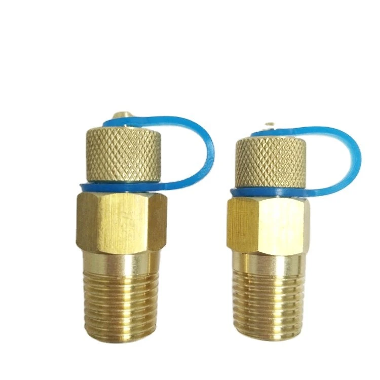 DZR Brass Pressure Test Plug